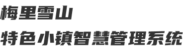 梅里雪山特色小镇智慧管理系统 | 登录